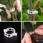 Plant support clips