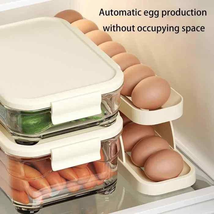 Egg Holder Container Display Rack