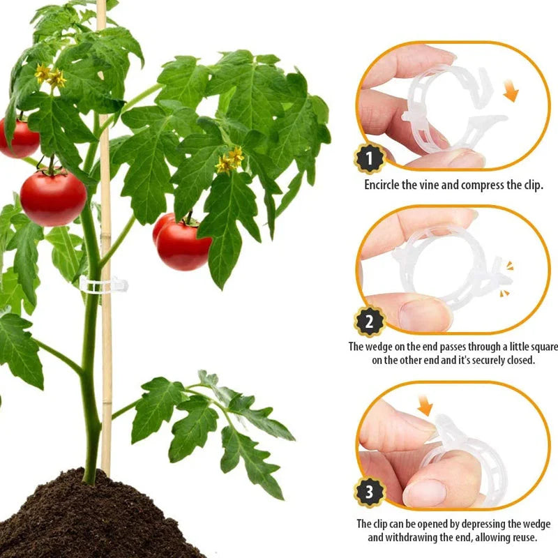 Plant support clips